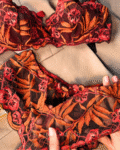 Feuilles Rouges 1